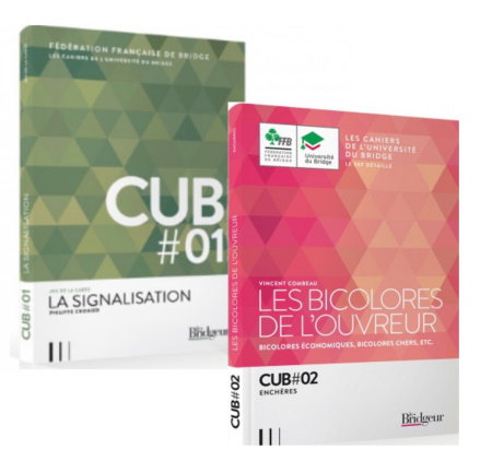 PACK COLLECTION CUB# 1 2 - ET 4 JEUX FLECHES