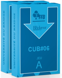 JEUX FLECHES CUB N°6 - LES PREMIERS PLANS DE JEU DE COUPE