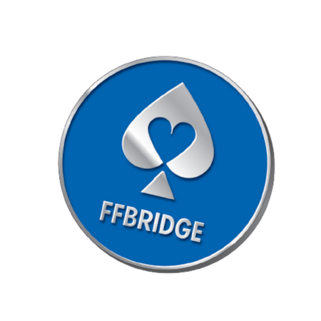 LOT DE 15 PINS FFB