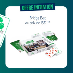 FFB BRIDGE BOX 